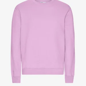 Classic Organic Crew - Colorful Standard