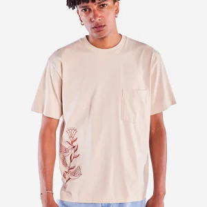 T-Shirt Hummingbirds - Olow
