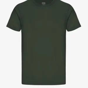 Classic Organic Tee - Colorful Standard