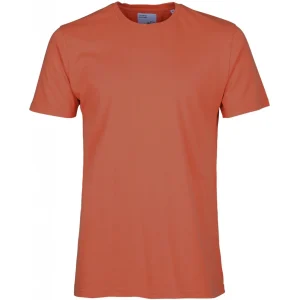 Classic Organic Tee - Colorful Standard