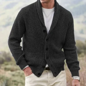 Maxime - Cardigan Laine Col V Homme
